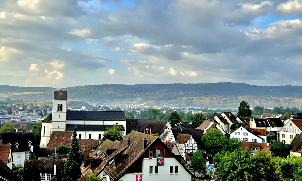 MeCoNet Netzwerk Oberwil