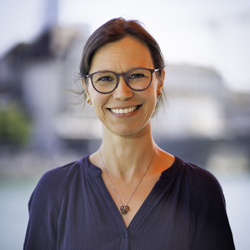 Katja Windisch, Website Projects MeCoNet